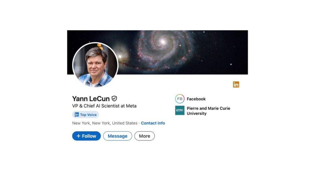 Photo showing Yann LeCun's LinkedIn profile